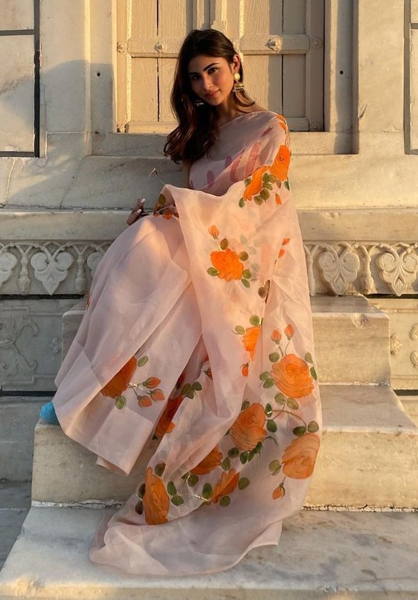 mouni roy at taj mahal in picchika silk saree