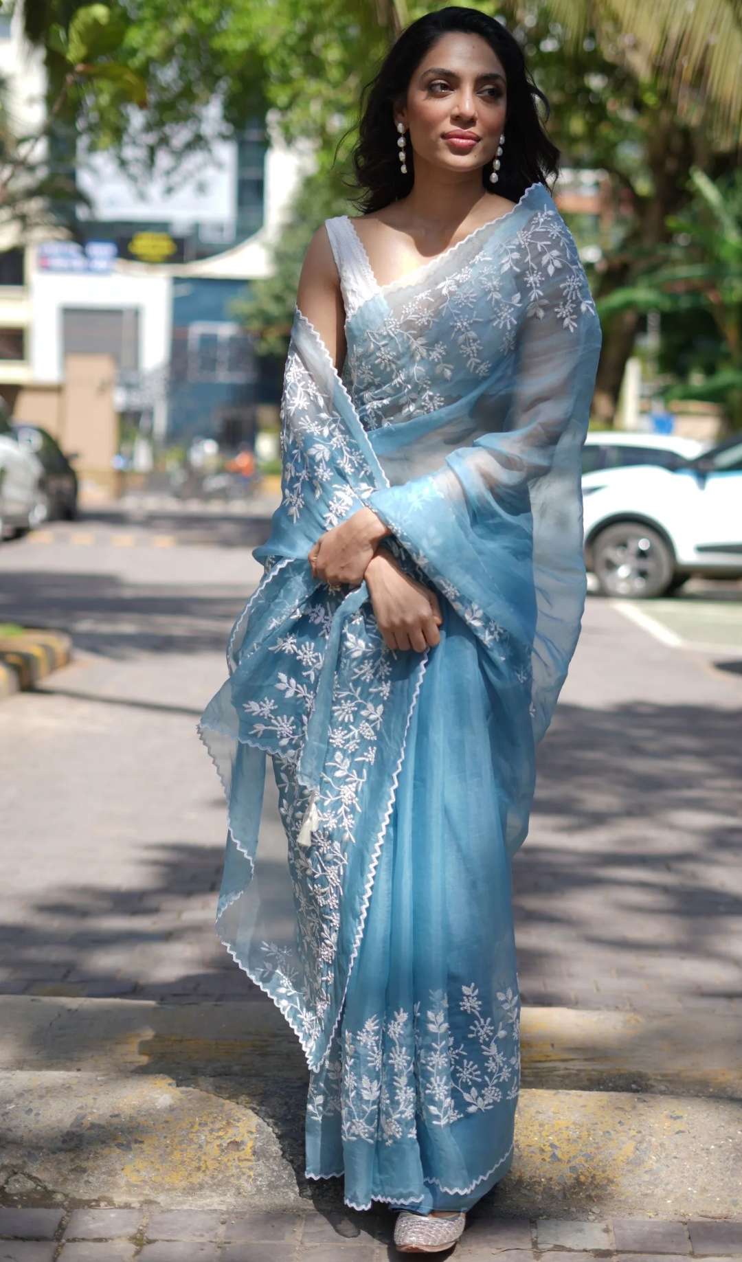 silver-border-blue-saree-at-lorena-mullens-blog